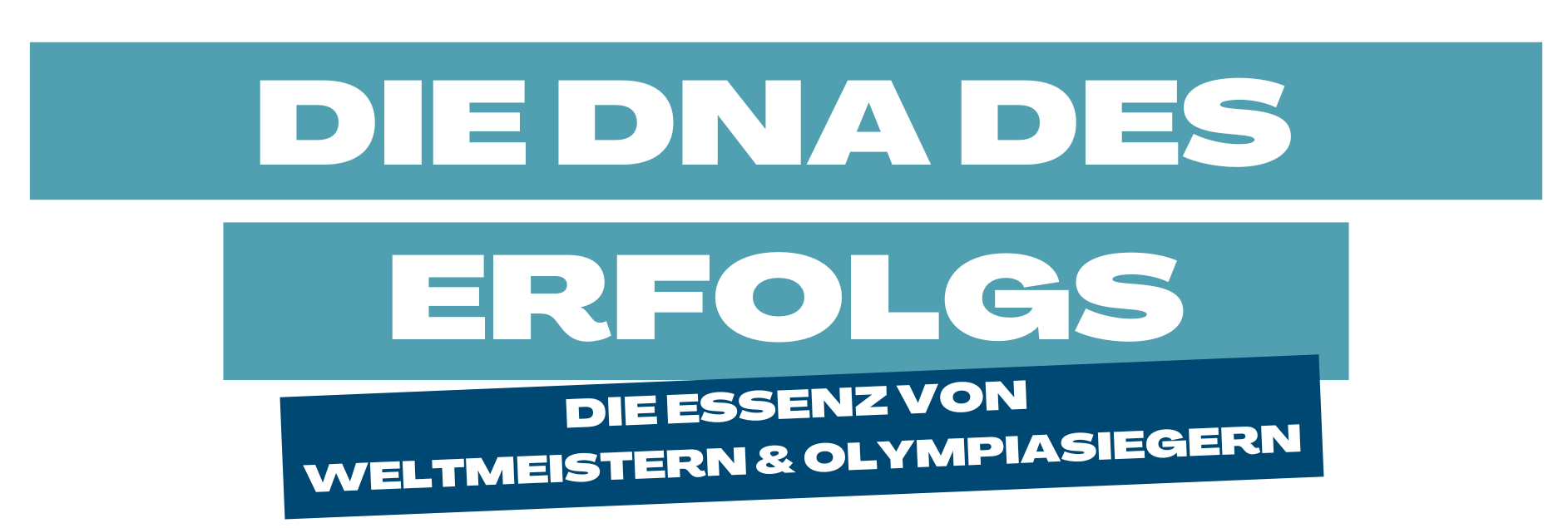 Andi Titel Header.png